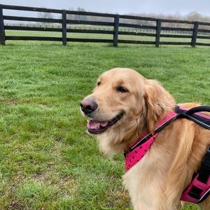 Meet your Posher, Jamie